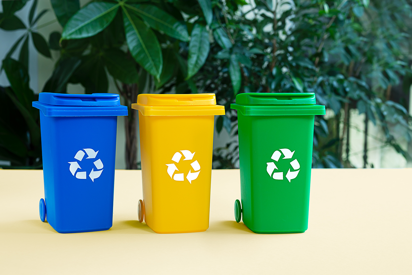 Blue, yellow and green tank for separate garbage collection against bacground with green plants, waste recycling and conservation of the environment concept